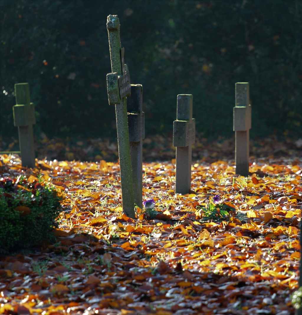 autumn leaves on graveyard