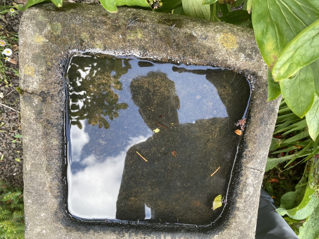 reflection of a man in water of a birdbath