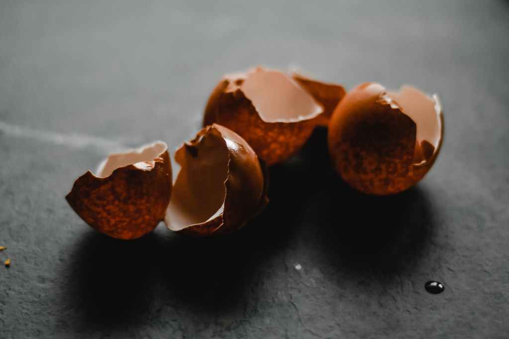 close up of cracked eggshells